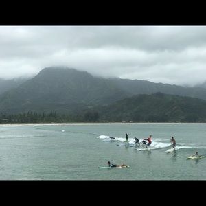 Meet your Posher, Janet